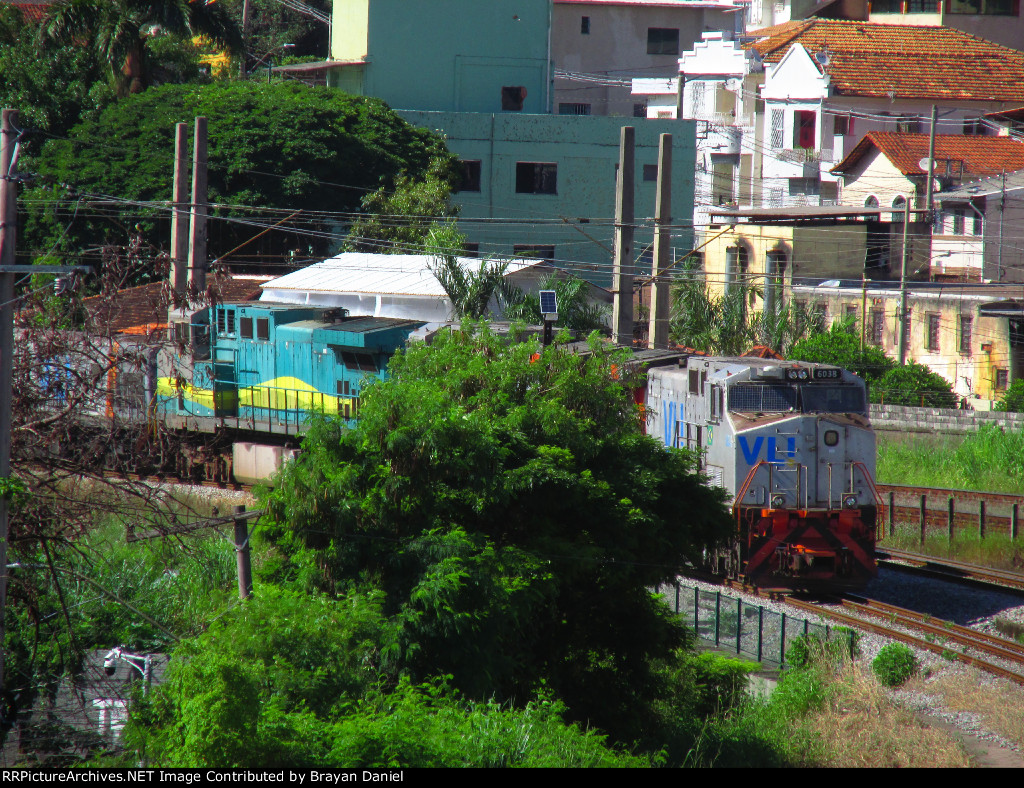 VLI 6038